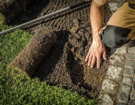 تركيب عشب طبيعي تركيب عشب طبيعي